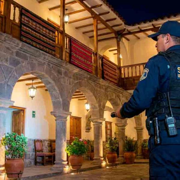 Vigilancia pública y privada