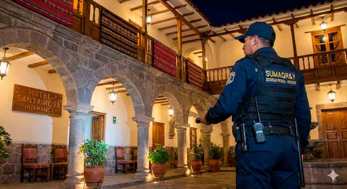 Vigilancia pública y privada